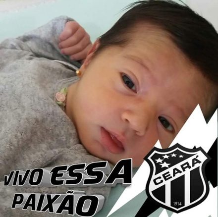 Titulo