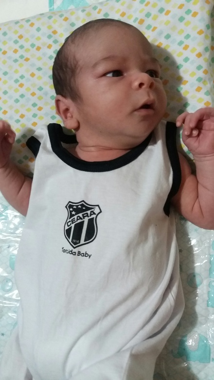 Titulo