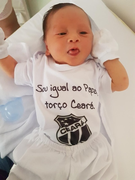 Titulo