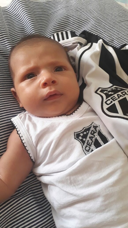 Titulo