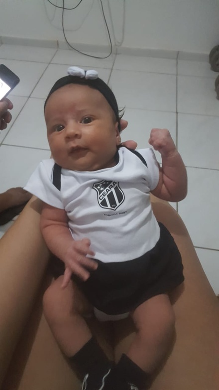 Titulo
