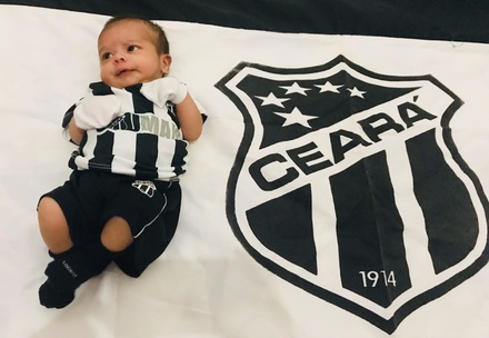 Titulo