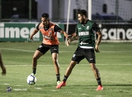 Quarta-feira foi de treino técnico-tático e trabalhos de finalização para o Ceará