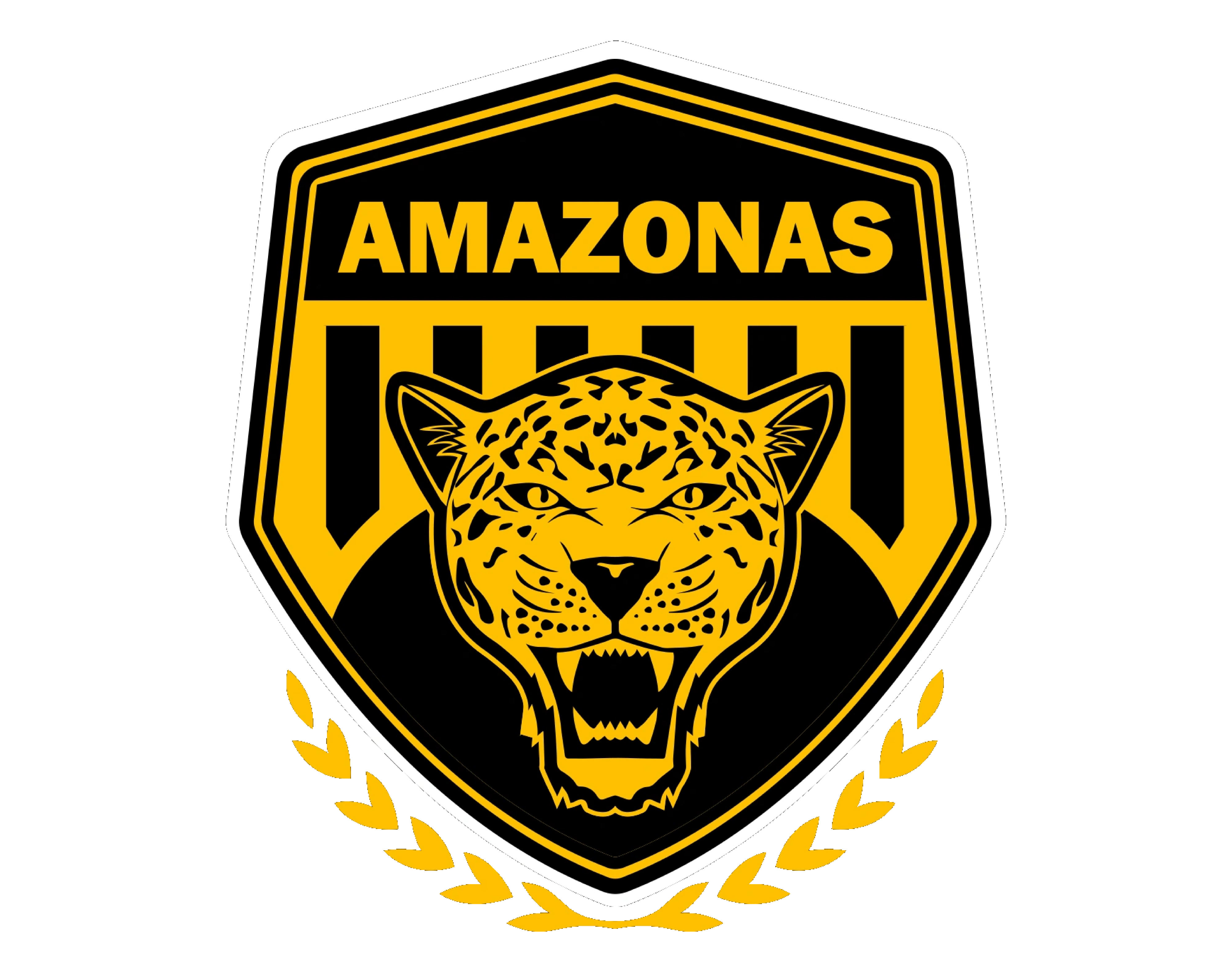 Amazonas Futebol Clube