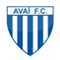 Avaí Futebol Clube