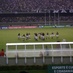 TORCIDA: Ceará 2 x 0 Avai - 02/06 às 21h - Castelão - 75