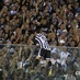 [01-02] Ceará 5 x 1 Tiradentes2 - 3