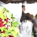 [12-05] Dia das Mães alvinegro - 16