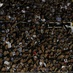 [18-05] Ceará 1 x 2 América-MG - Torcida - 5