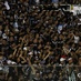 [18-05] Ceará 1 x 2 América-MG - Torcida - 6