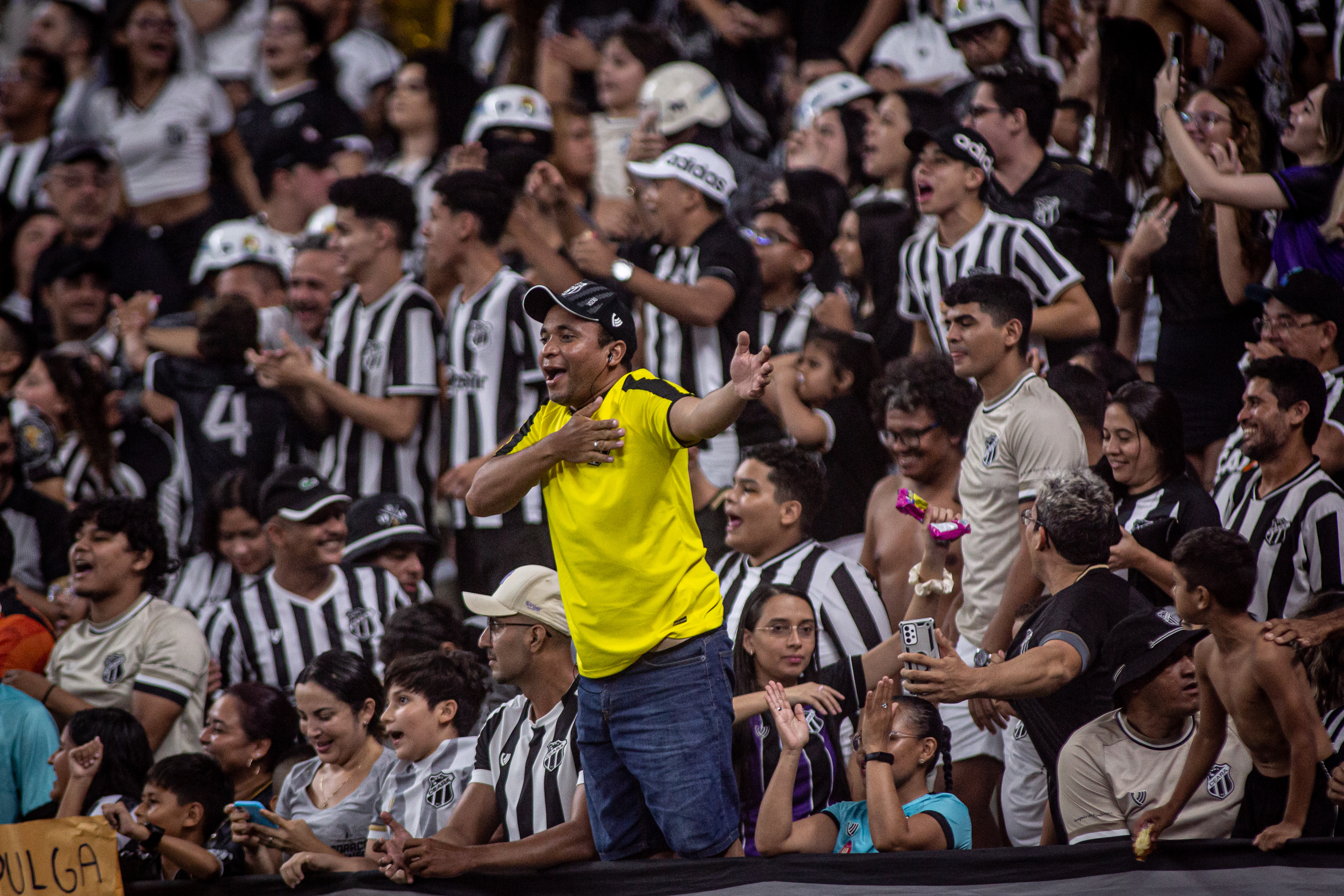 Camp. Brasileiro: Ingressos para o confronto contra o Santos/SP já disponíveis à venda