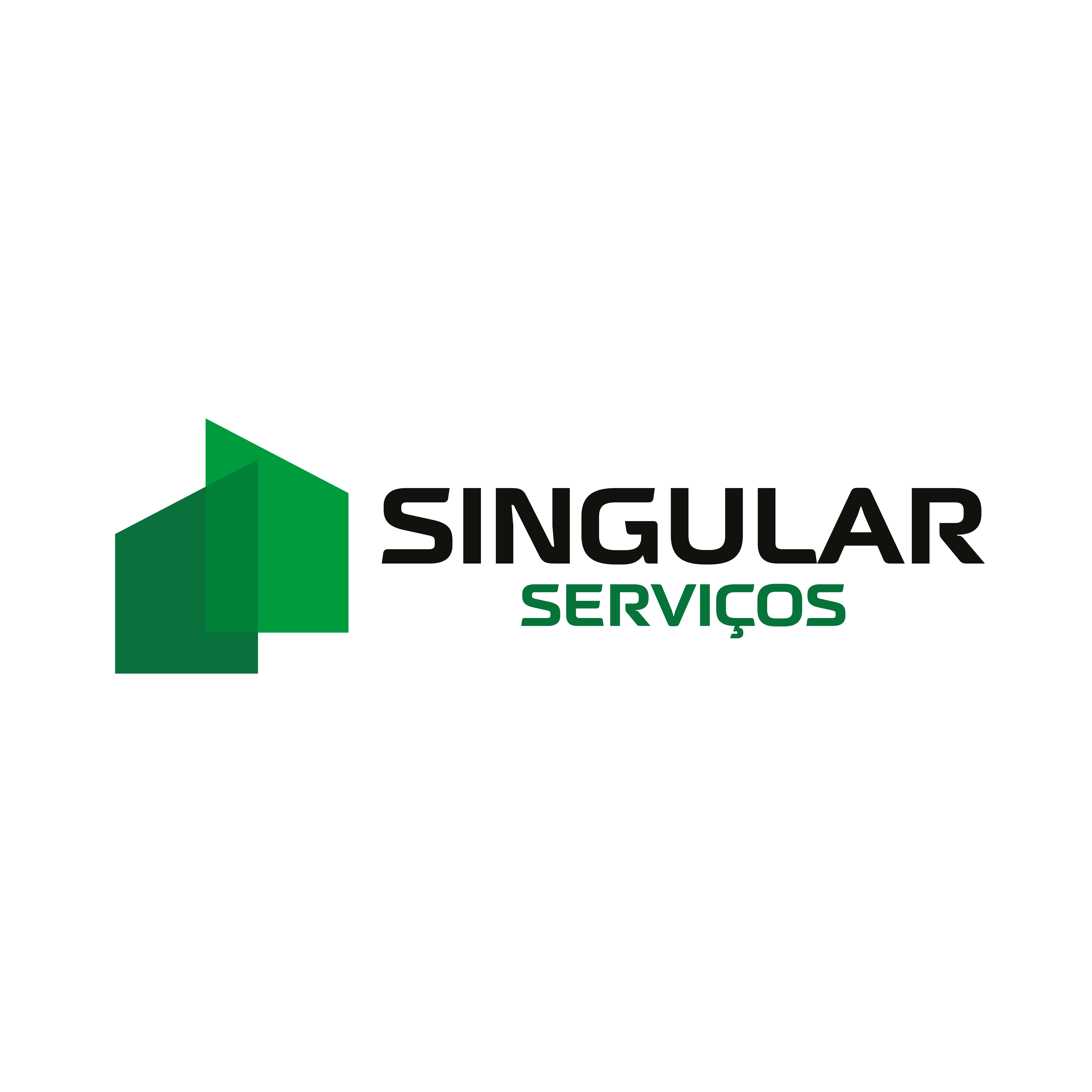 SINGULAR