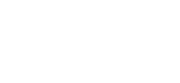 ZENIR