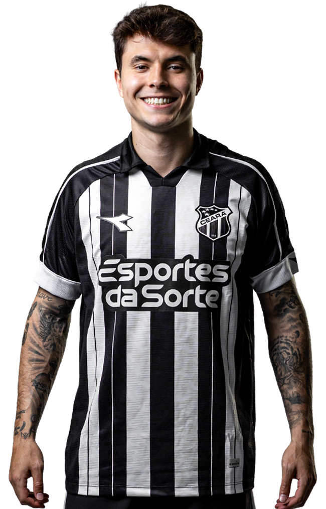 Saiba mais sobre: Vinicius Nelson de Souza Zanocelo