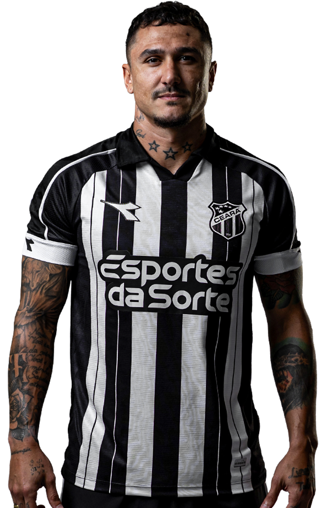 Saiba mais sobre: Vinícius Goes Barbosa de Souza (29)
