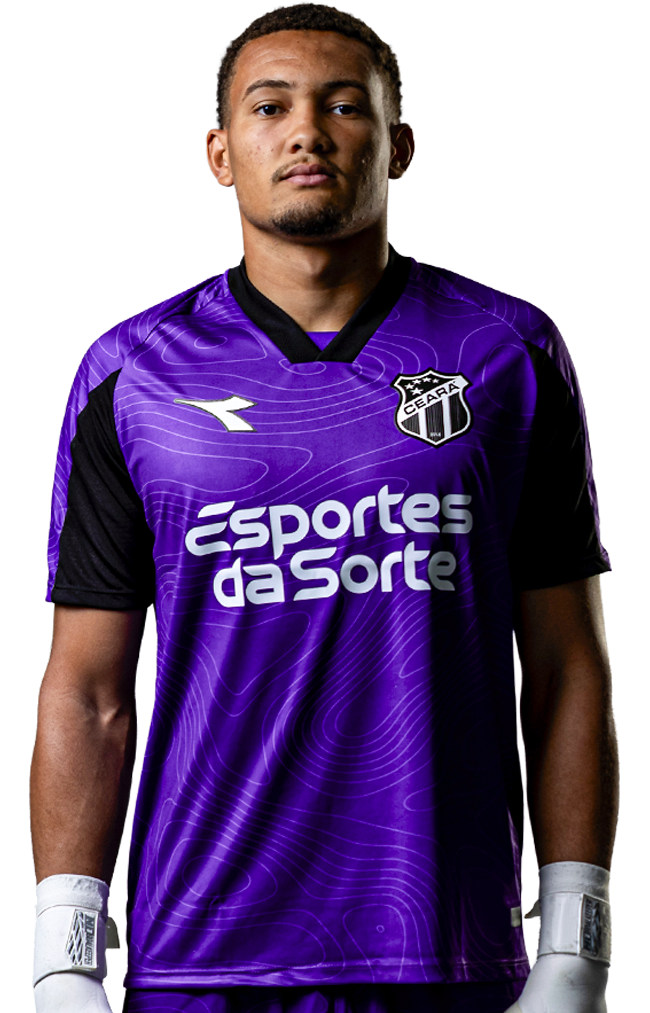 Saiba mais sobre: Gustavo Dias Martins de Sousa