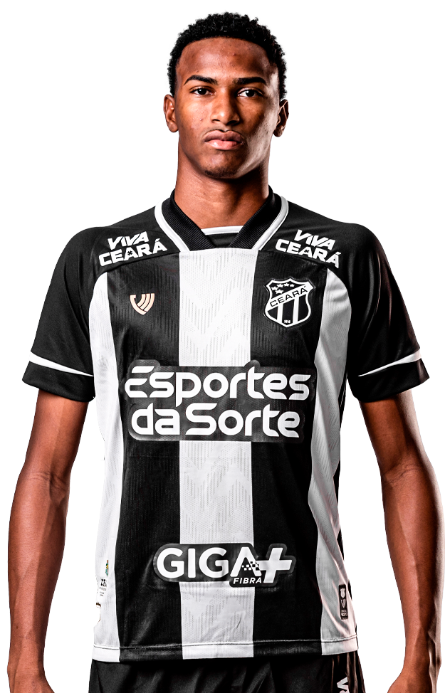 Saiba mais sobre: Guilherme Luiz Oliveira da Silva  (80)  