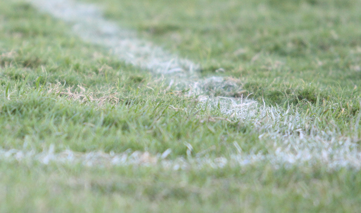 Com portões abertos ao torcedor, treino de hoje será pela manhã