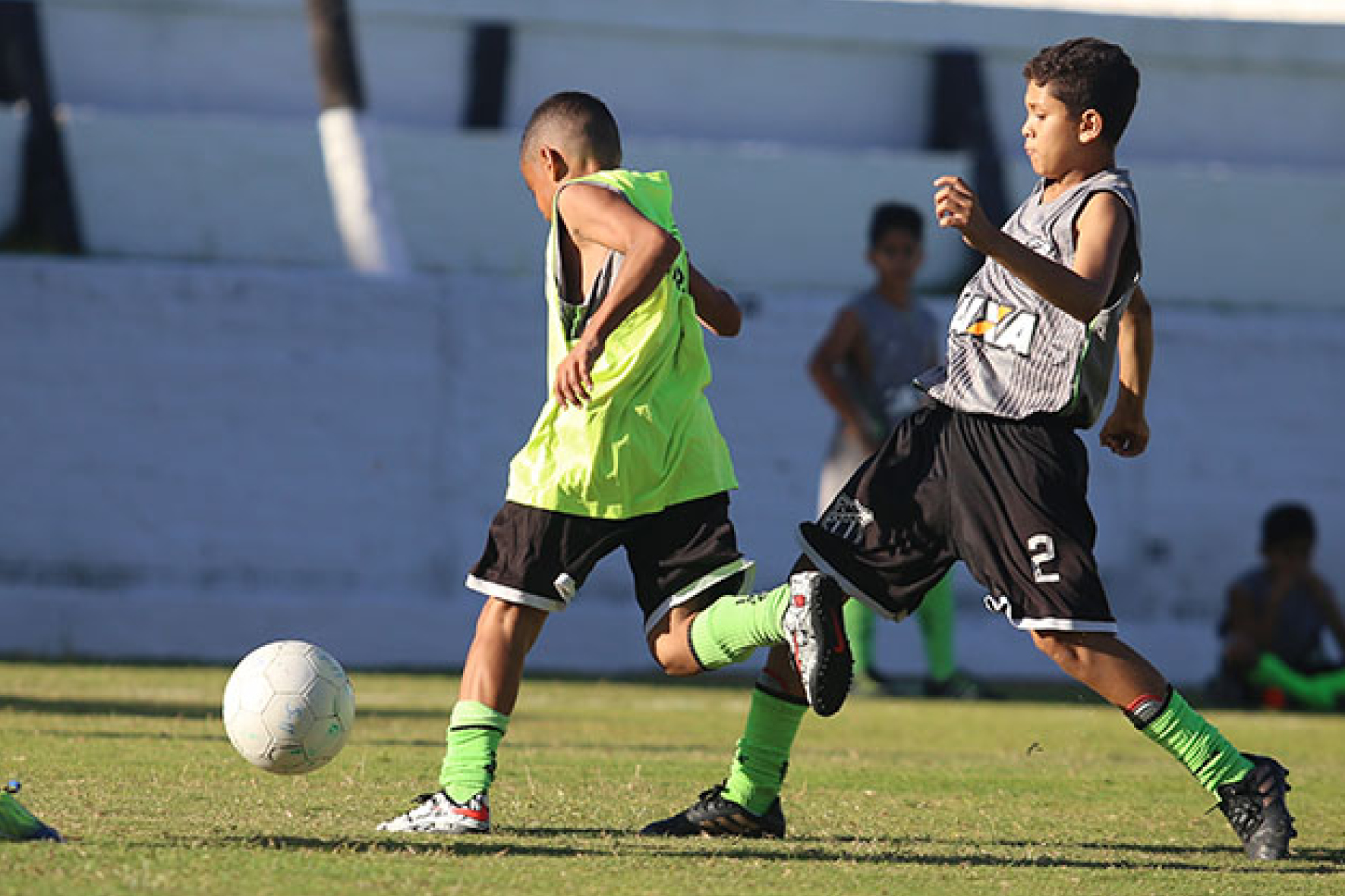 Confira como estão os times de base do Ceará na temporada 2018